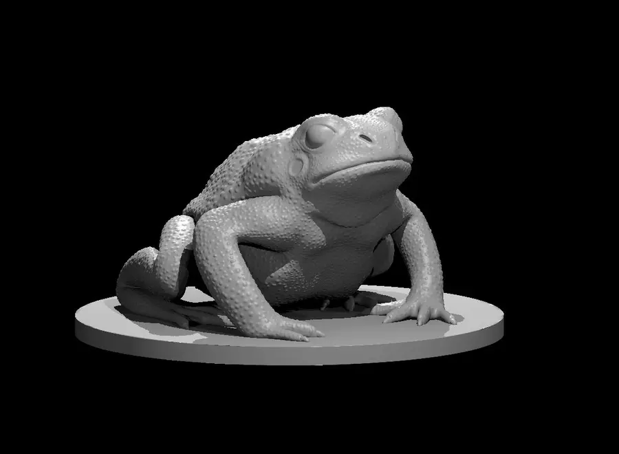 Giant Toad – Image 3