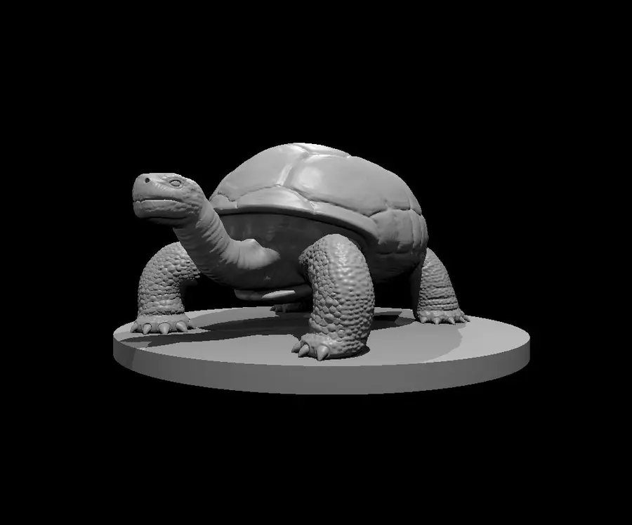 Giant Tortoise – Image 2