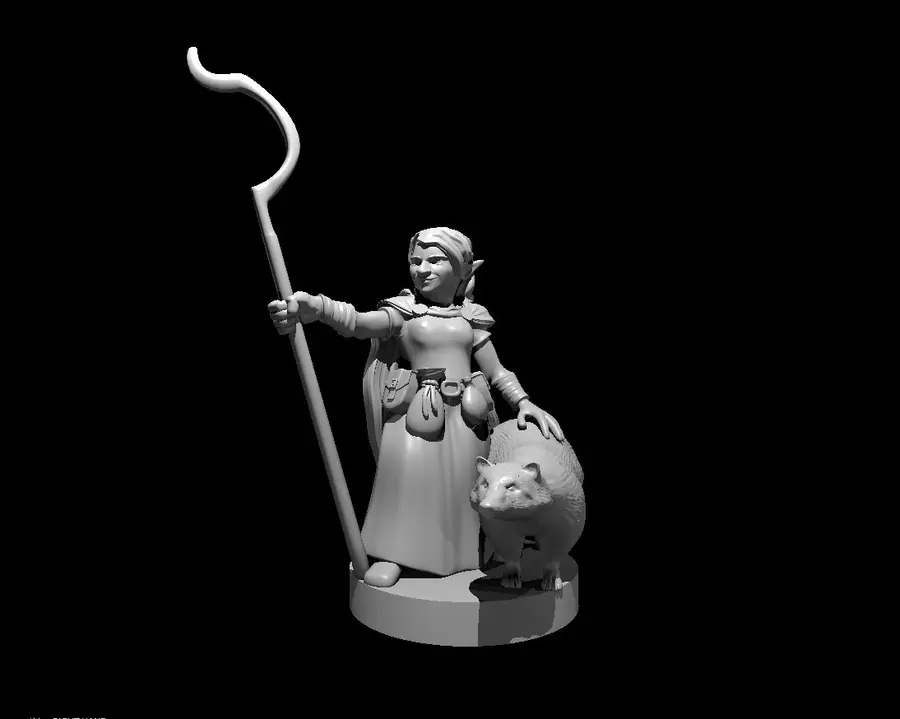 Gnome Druid – Image 2