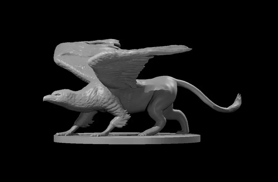 Griffon – Image 4