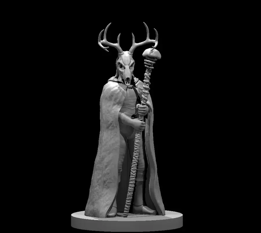 Human Druid – Image 13