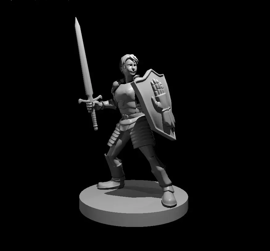 Human Paladin – Image 6