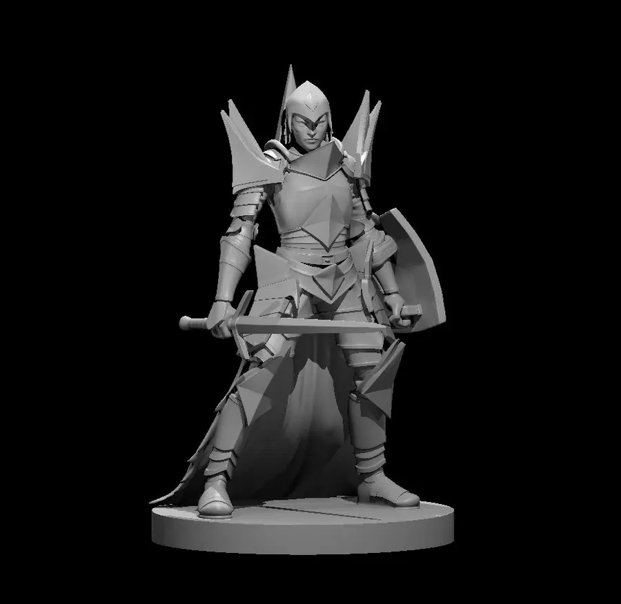 Human Paladin – Image 7