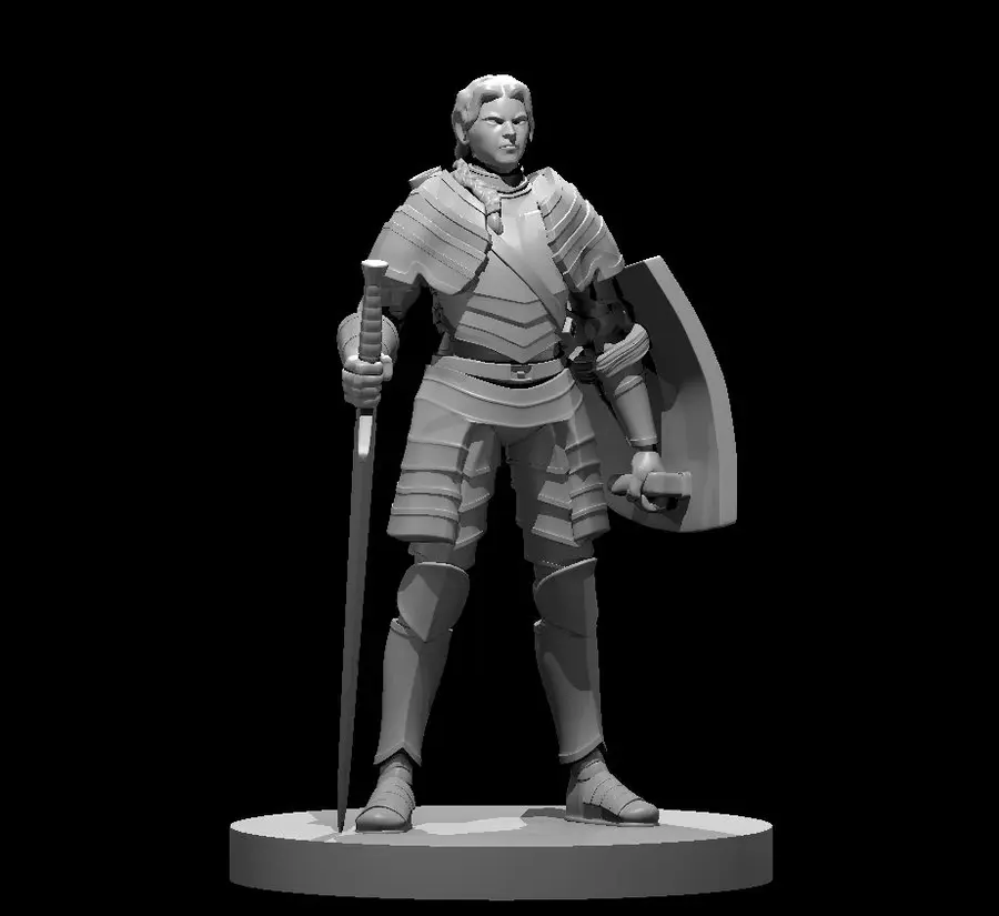 Human Paladin – Image 8