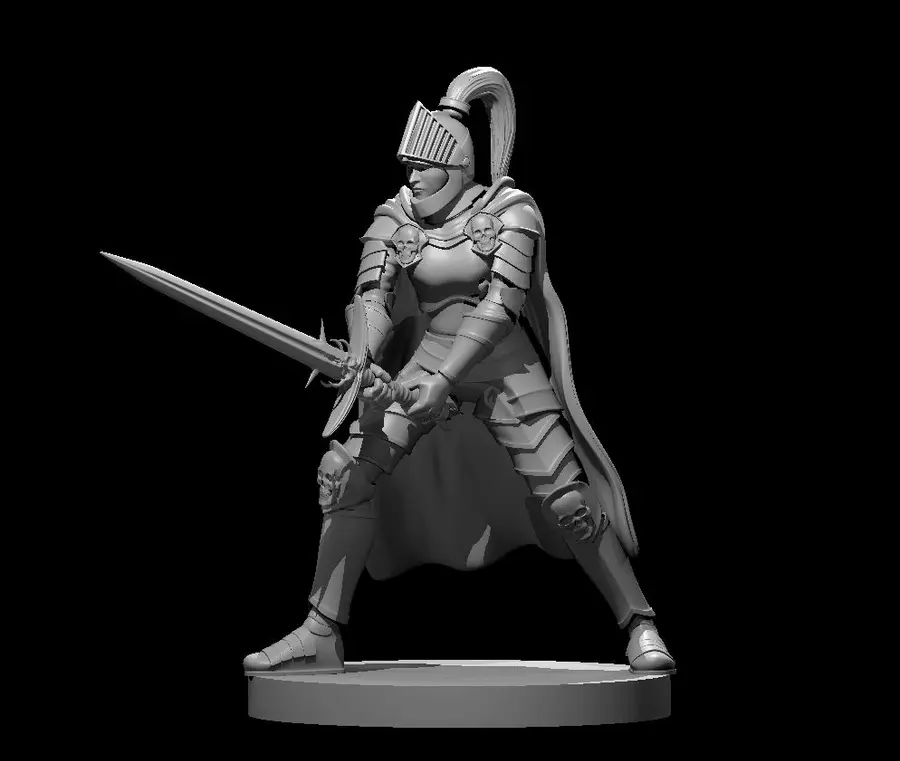 Human Paladin – Image 11