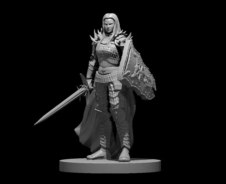 Human Paladin – Image 10
