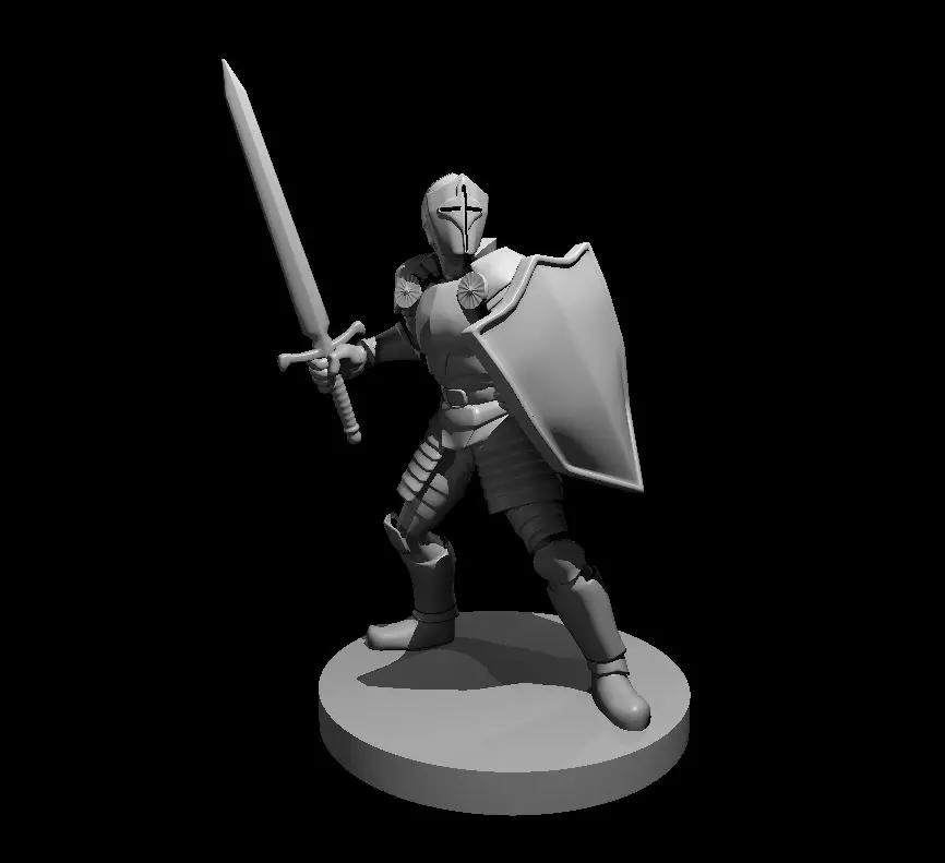 Human Paladin – Image 14