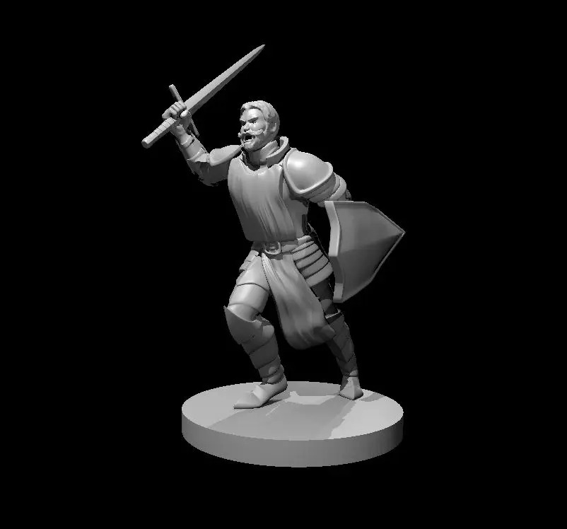Human Paladin – Image 22