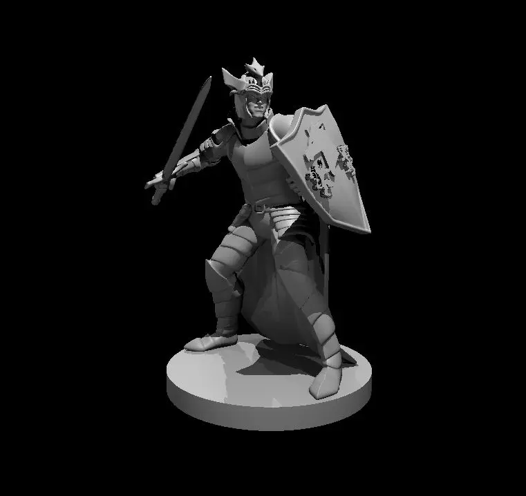 Human Paladin – Image 28