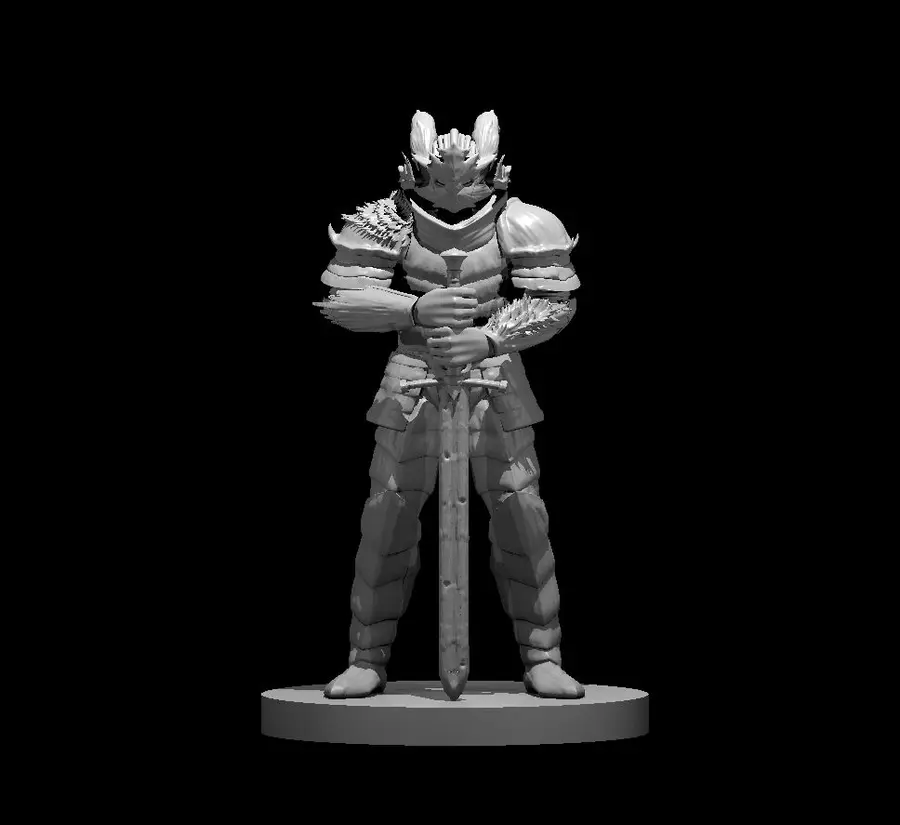 Human Paladin – Image 30