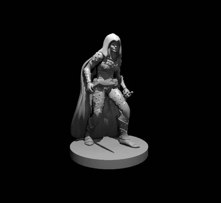 Human Rogue – Image 3