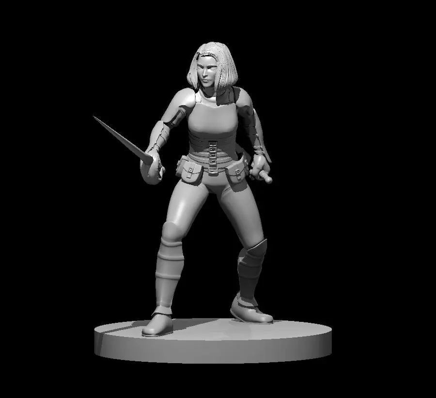 Human Rogue – Image 4