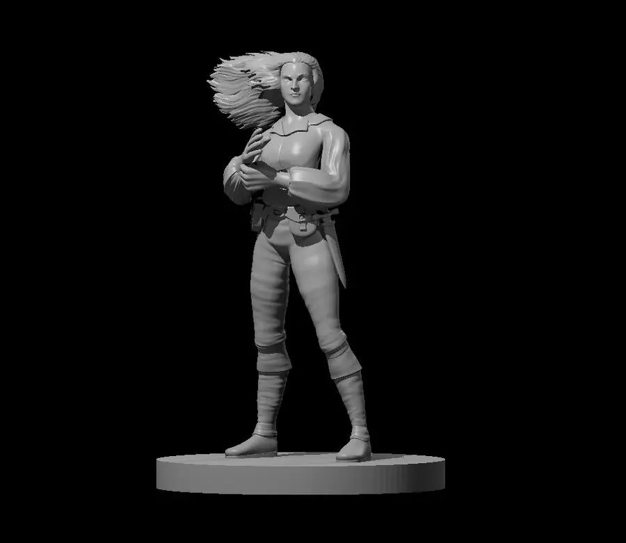 Human Rogue – Image 5