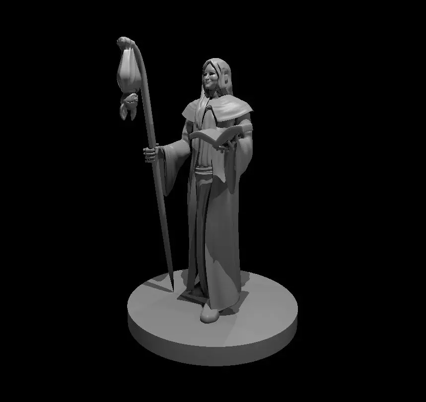 Human Wizard – Image 43