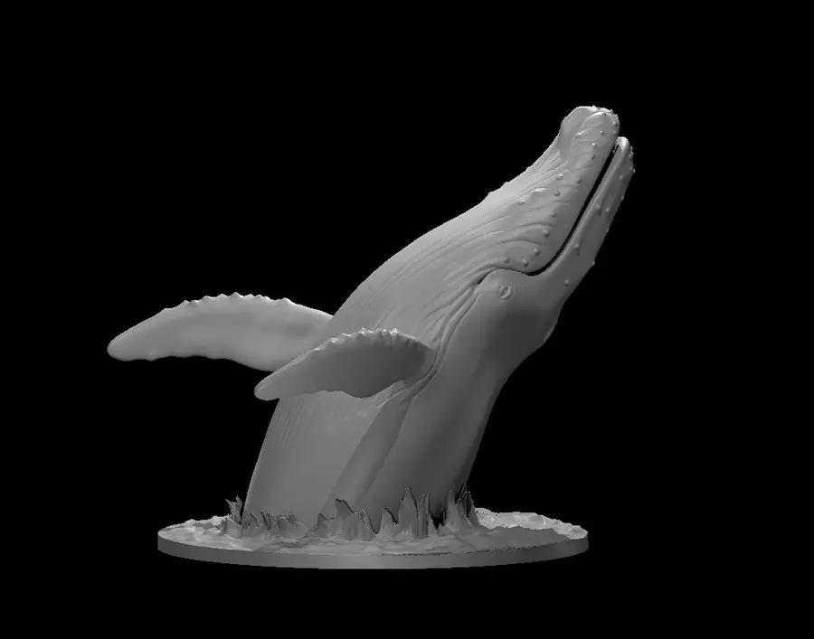 Humpback Whale – Image 2