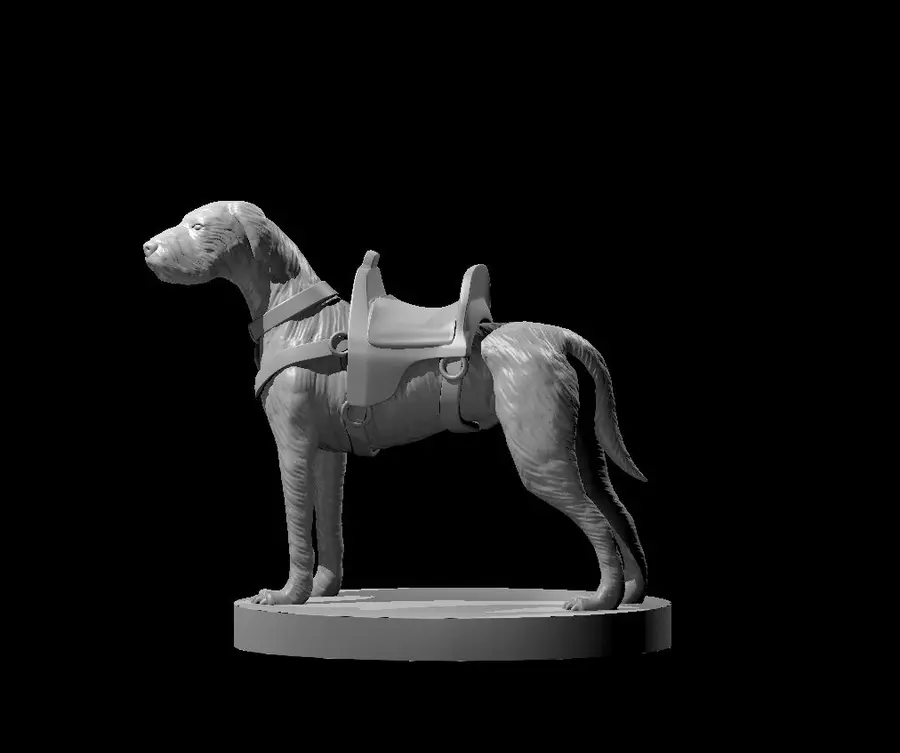 Irish Wolf Hound – Image 3