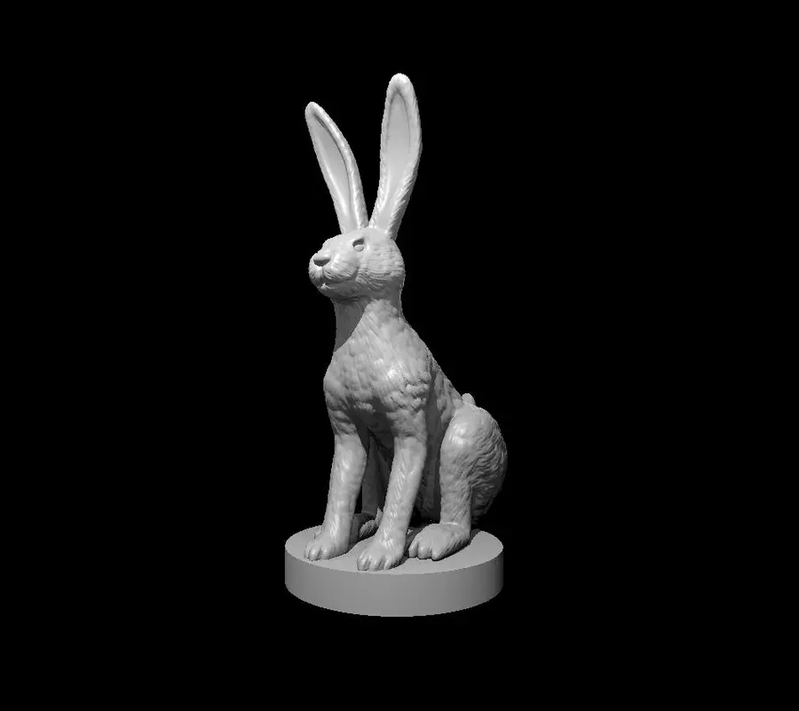 Jack Rabbit – Image 2