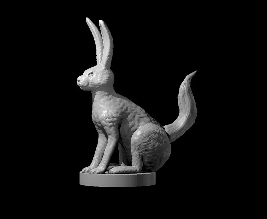 Jack Rabbit – Image 3