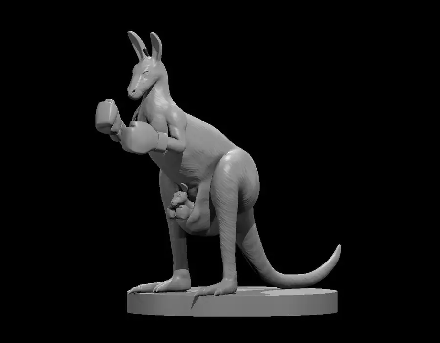 Kangaroo – Image 2