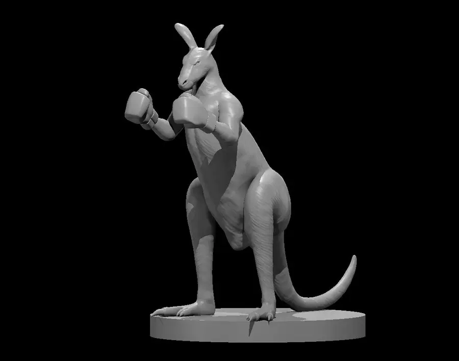 Kangaroo – Image 4