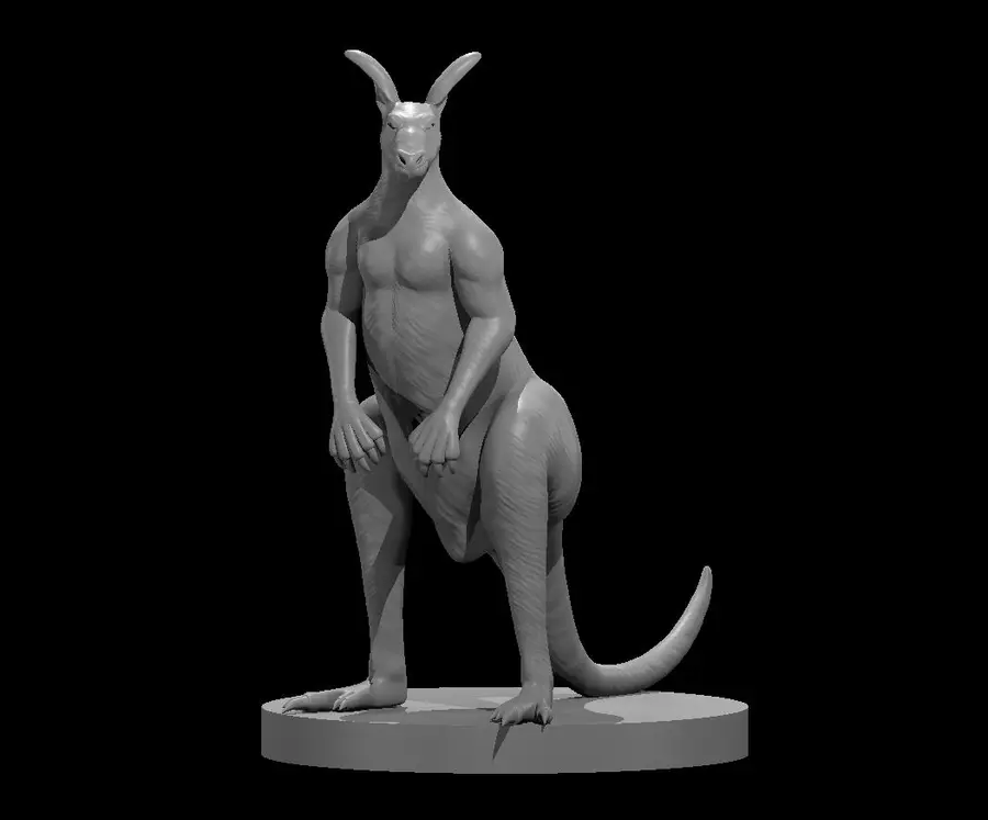 Kangaroo – Image 3