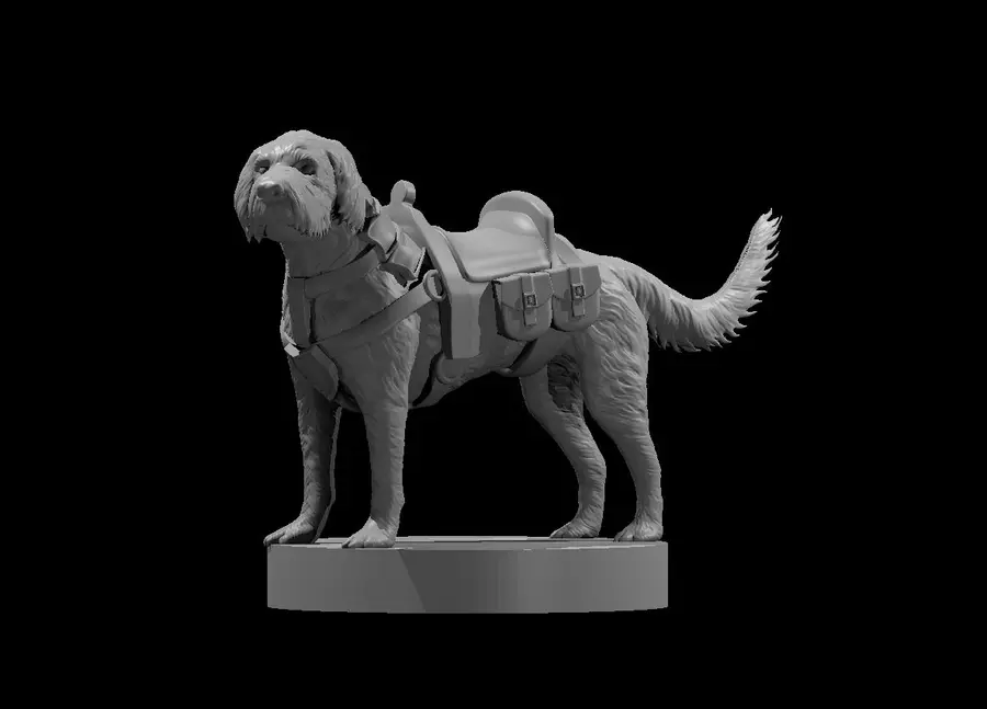 Labradoodle Cockapoo Mix – Image 3