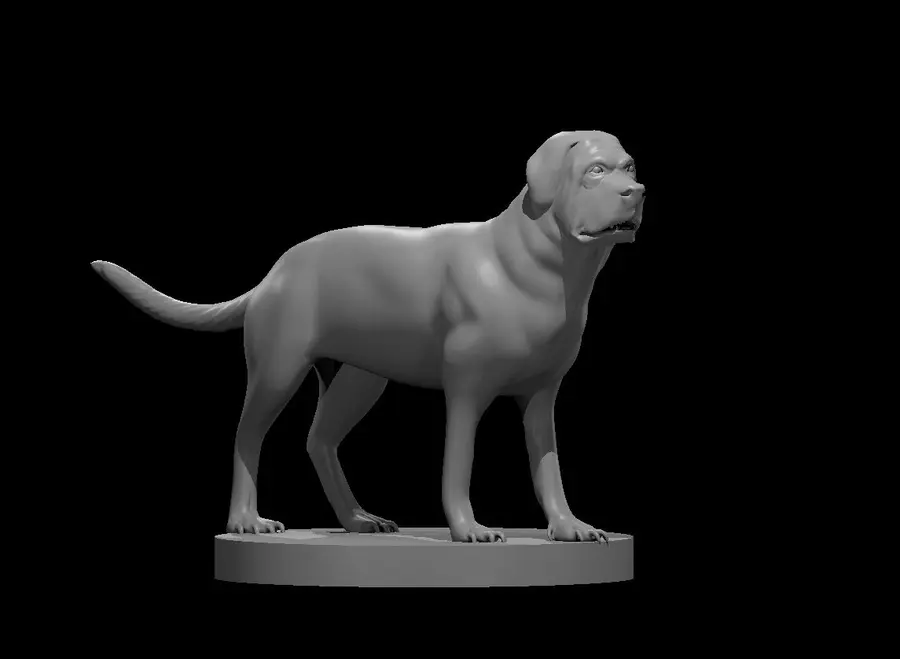 Mastiff – Image 2