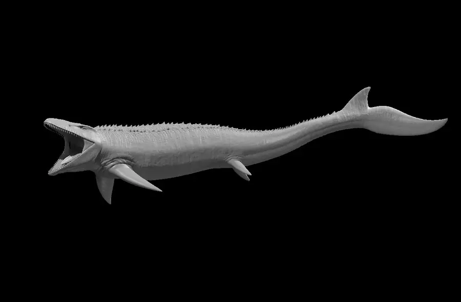 Mosasaurus – Image 2
