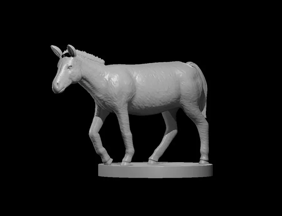 Mule – Image 2