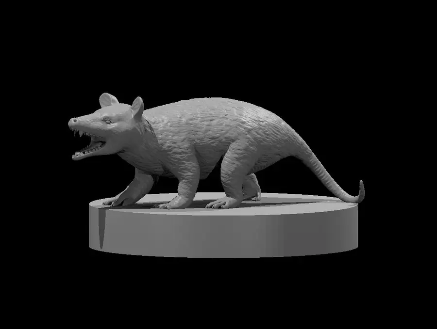 Opossum – Image 2