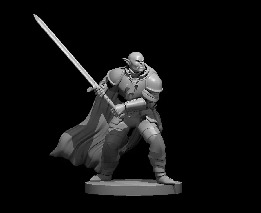 Orc Paladin – Image 2