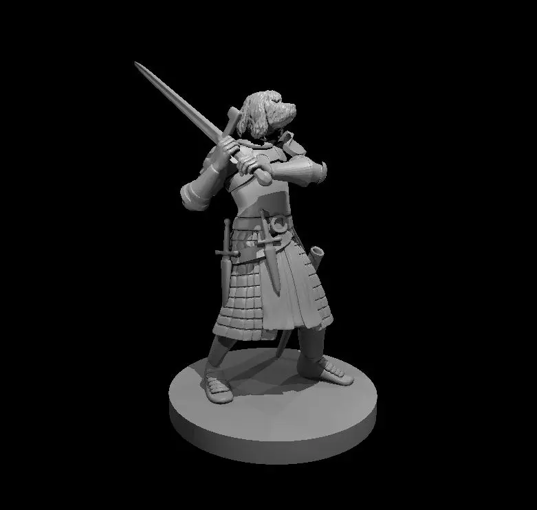 Other Fighter – Image 17
