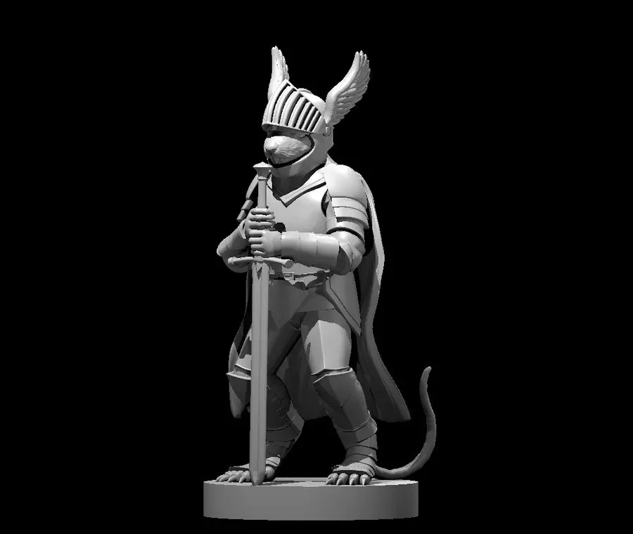Other Paladin – Image 6
