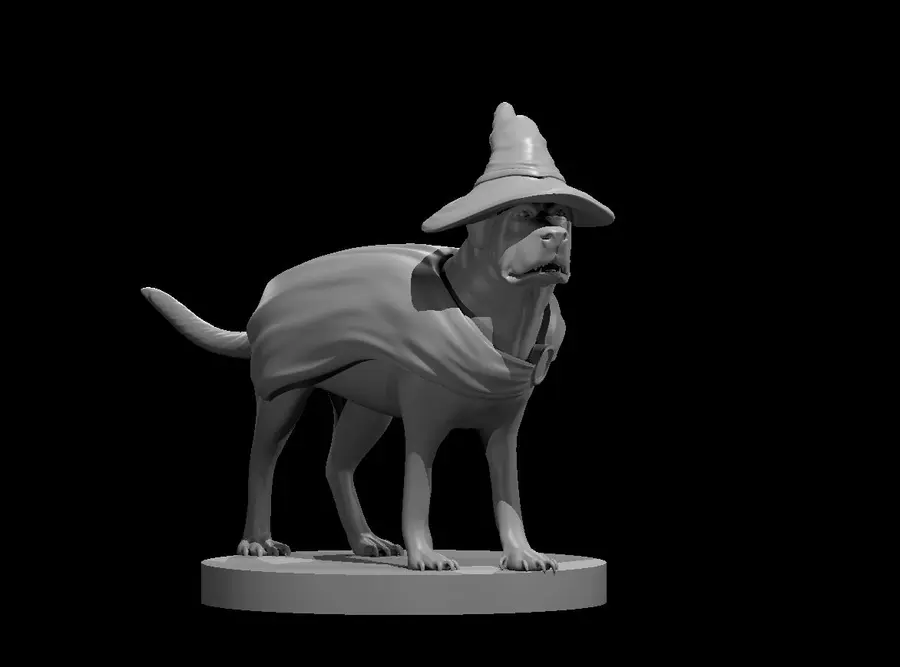 Other Wizard – Image 16