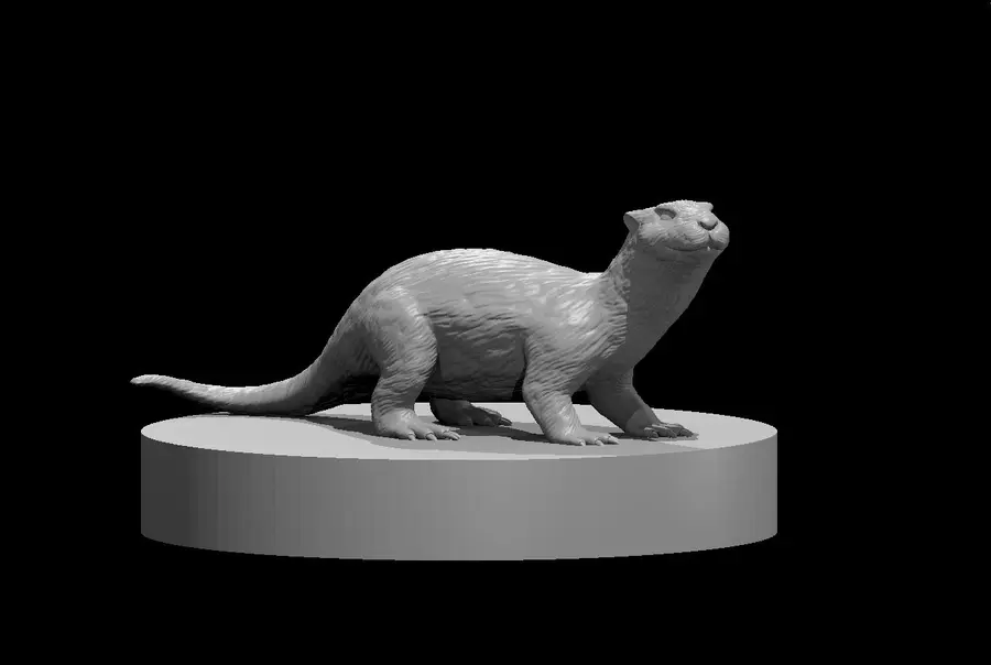 Otter – Image 2