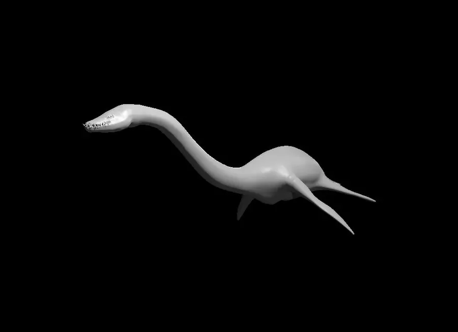 Plesiosaurus – Image 2
