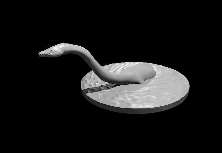 Plesiosaurus – Image 3