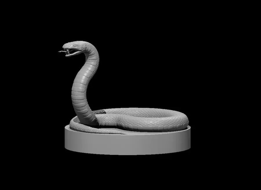 Poisonous Snake – Image 2