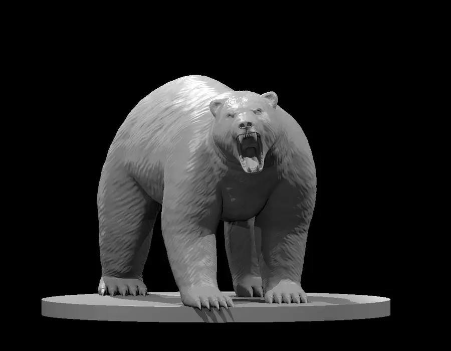 Polar Bear – Image 3