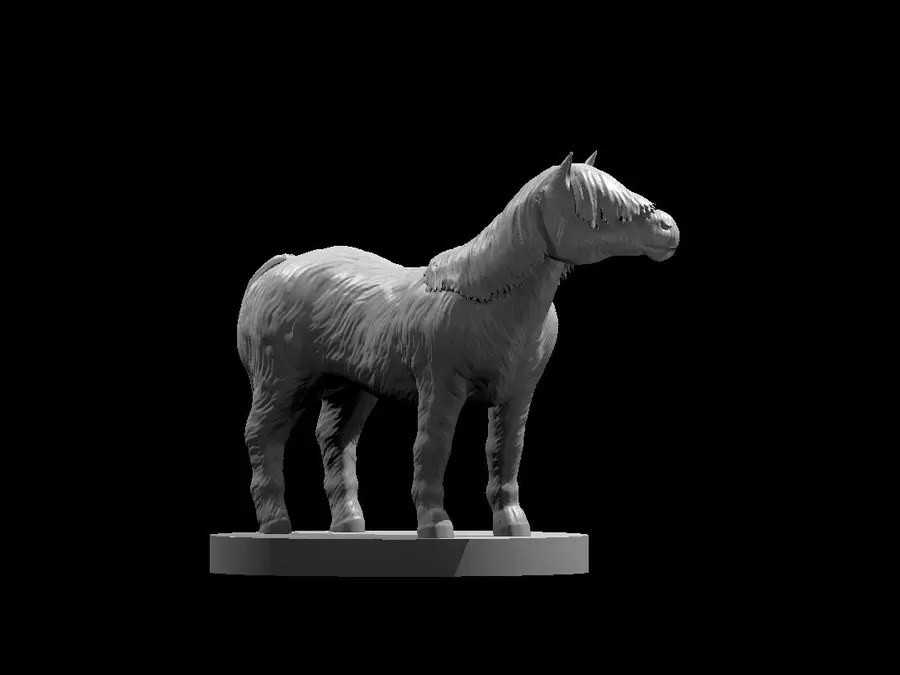 Pony – Image 3