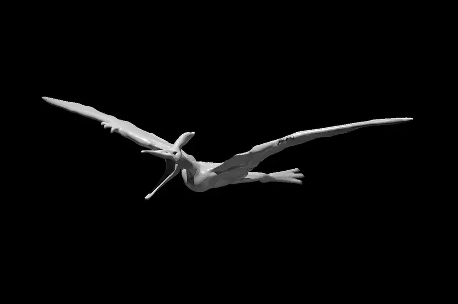 Pteranodon – Image 2