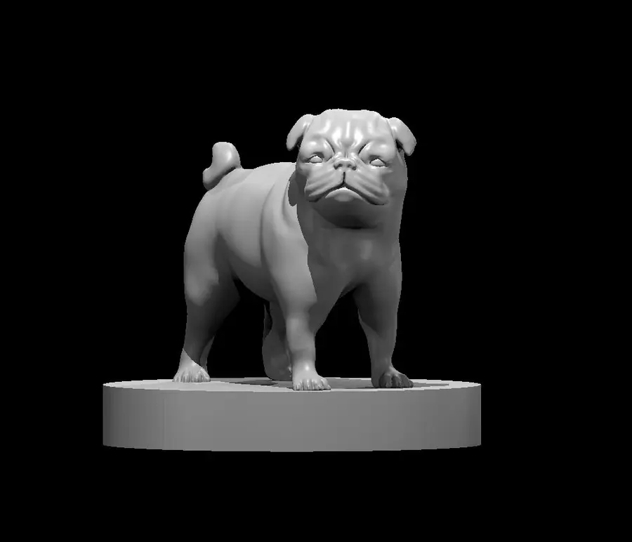 Pug – Image 2