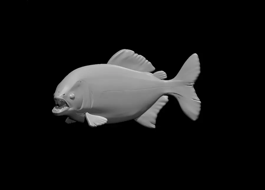 Quipper – Image 2