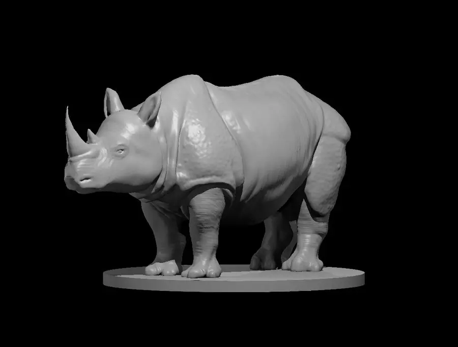 Rhinoceros – Image 4