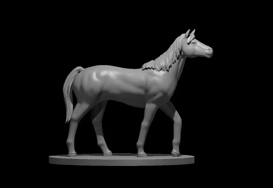 Riding Horse – Image 2