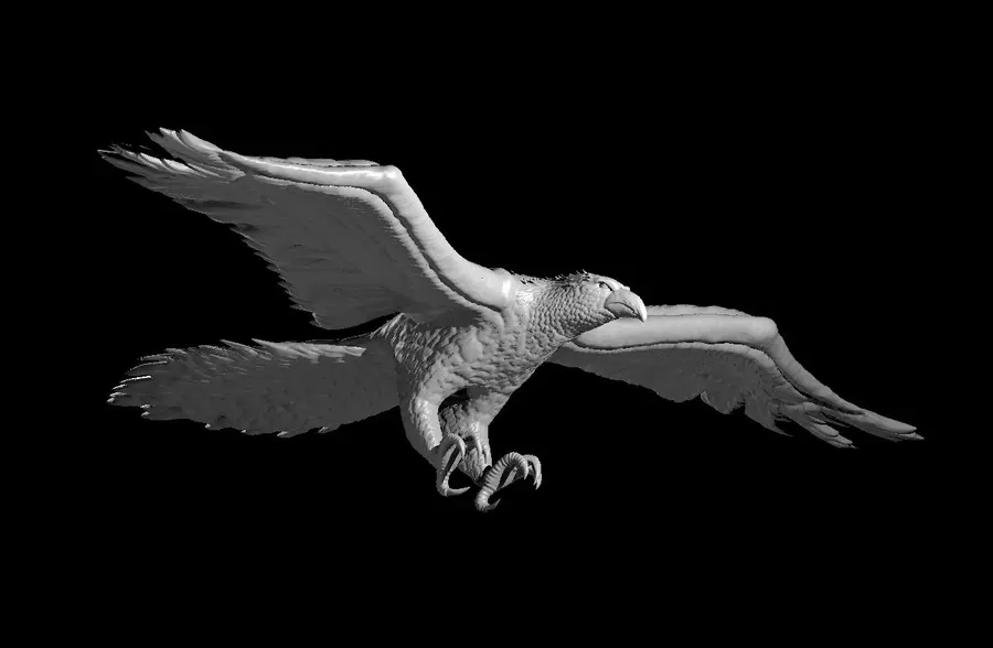 Roc – Image 2
