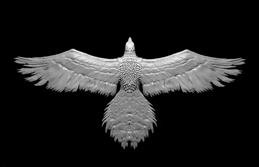 Roc – Image 3