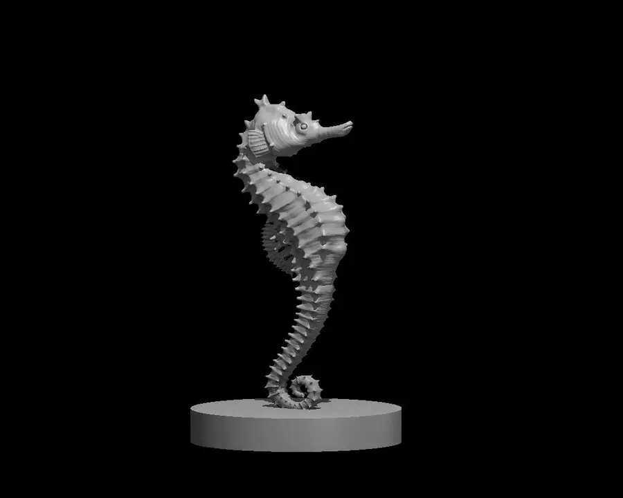 Seahorse – Image 2