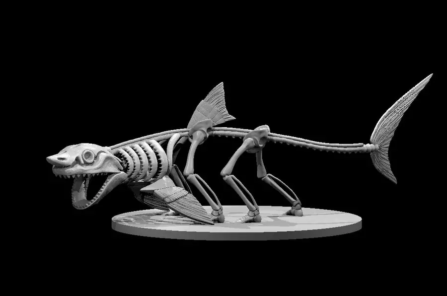 Skeleton Shark – Image 2