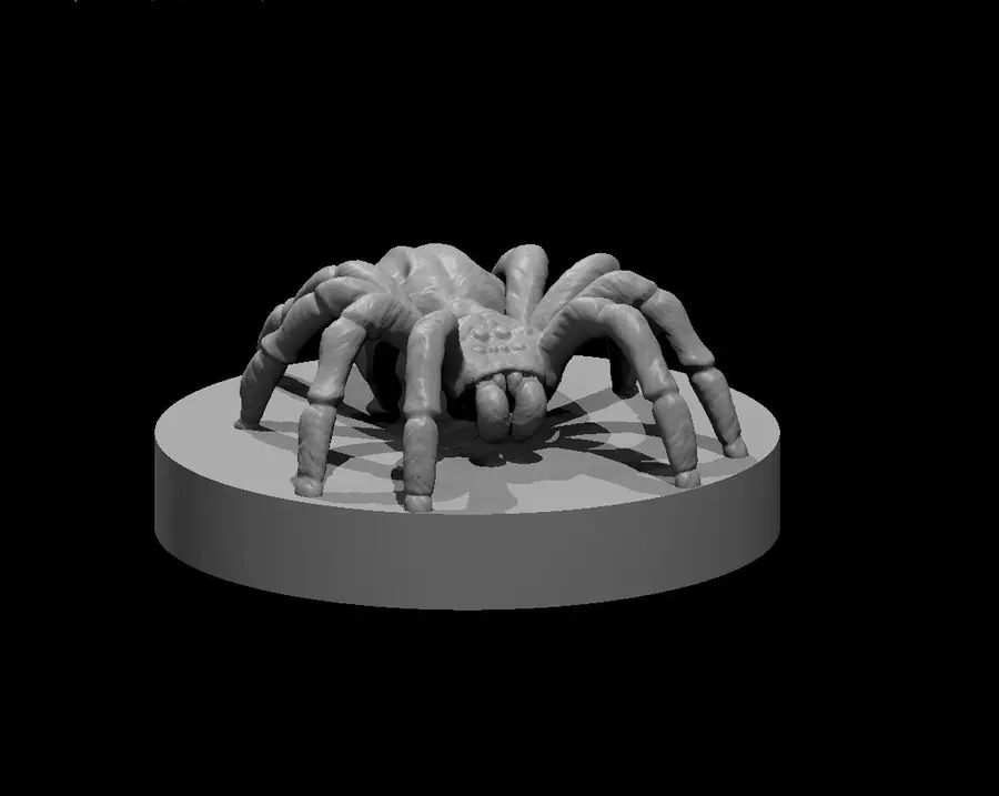 Spider – Image 2